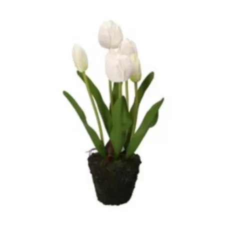 Tulipano bianco M - Thun