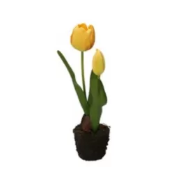 Tulipano giallo S - Thun