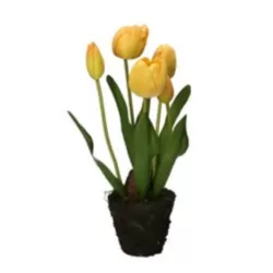 Tulipano giallo M - Thun