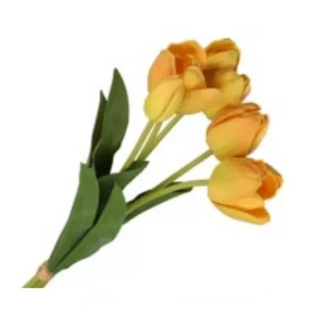 Tulipano giallo mazzo - Thun