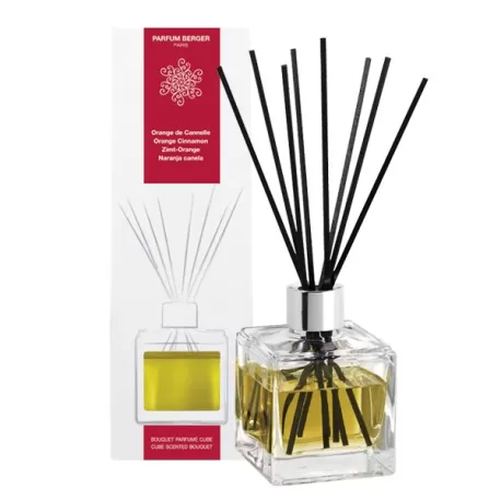 Bouquet Parfumé Cube Orange de Cannelle / Arancia e cannella - Lampe Berger 