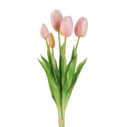 Tulipani rosa (imballo 4 pz.) - L'oca Nera