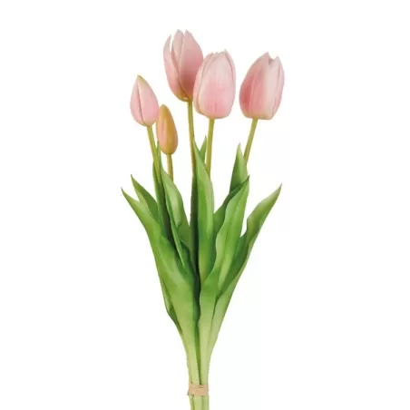 Tulipani rosa (imballo 4 pz.) - L'oca Nera