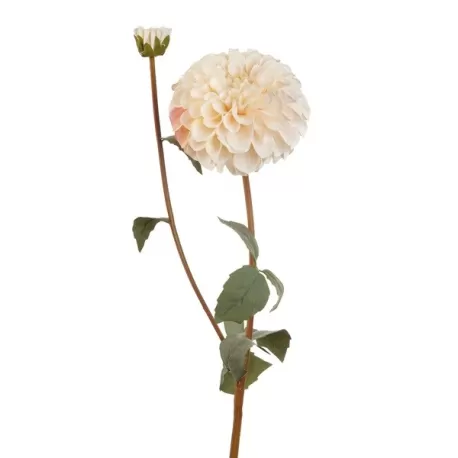 Dalia Bianca (imballo 4 pz.) - L'oca Nera