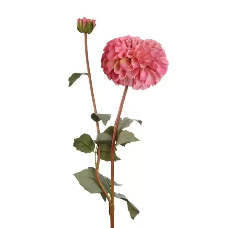 Dalia rosa (imballo 4 pz.) - L'oca Nera