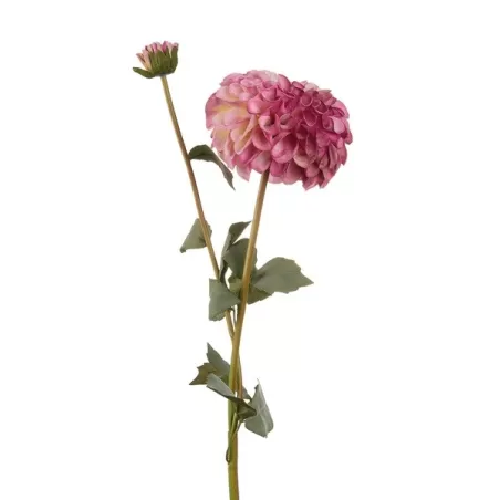 Dalia viola (imballo 4 pz.) - L'oca Nera