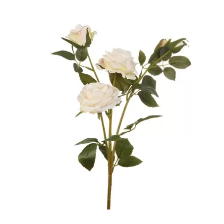 Rose bianche (imballo 4 pz.) - L'oca Nera