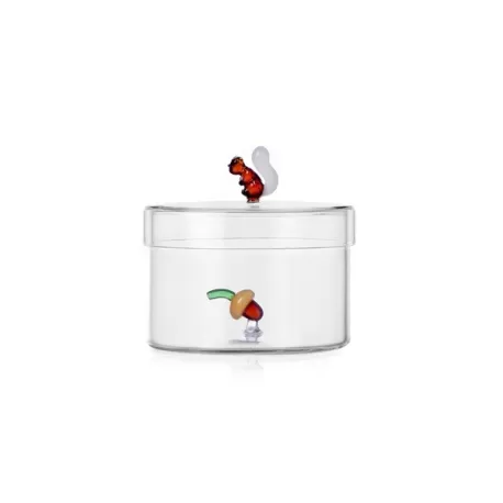 Acorns, Scatola ghianda interna - Ichendorf