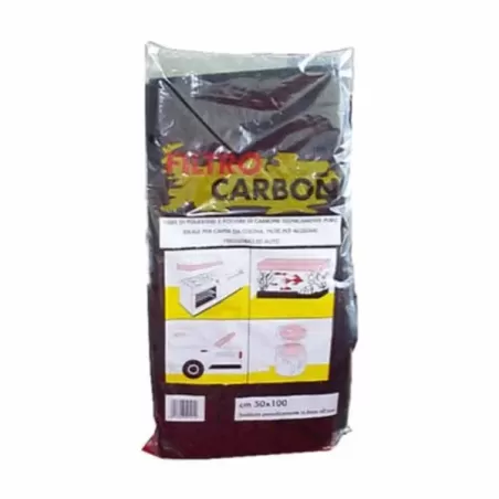 Filtro cappa carbone Cm.50x100