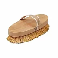 Spazzola setole radica radice ovale