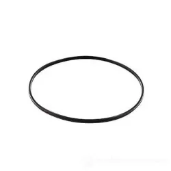 Guarnizione pentola a pressione Cm.22 barazzoni