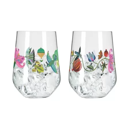 Tumbler Gin Tonic "Botanic lights" Fiori e Uccelli - Ritzenhoff