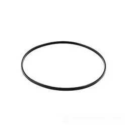 Guarnizioni pentola pressione Cm.22 lagostina