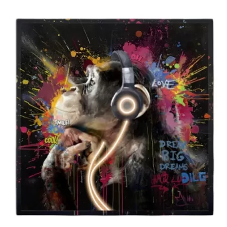 Quadro led, Scimmia Cm.80x80 - Palais Royal