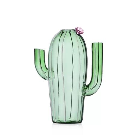 Desert Plants, Brocca cactus verde Fiore rosa - Ichendorf