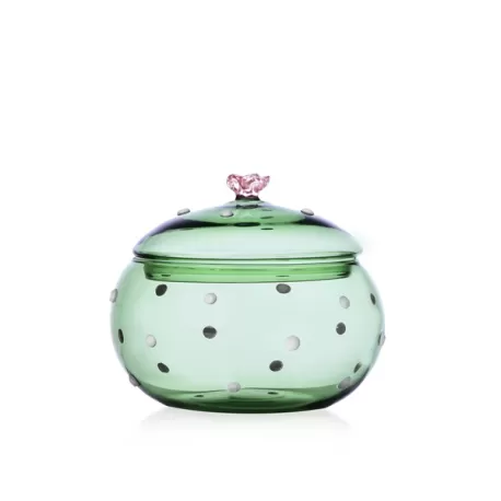 Desert Plants, Scatola cactus verde Fiore rosa - Ichendorf