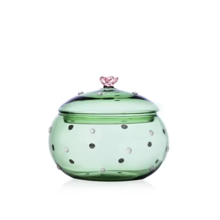 Desert Plants, Scatola cactus verde Fiore rosa - Ichendorf