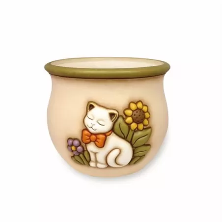 Coprivaso medio country - Thun