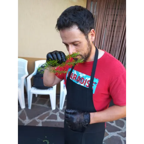 Corso Barbecue a Bergamo - BBQ