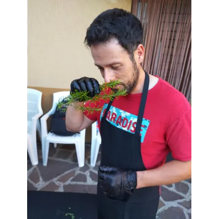 Corso Barbecue a Bergamo - BBQ