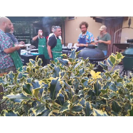 Corso Barbecue a Bergamo - BBQ