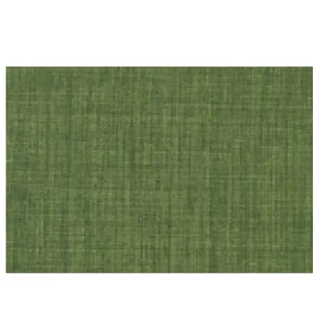 Verde, Tovaglia antimacchia Cm.155x320, 12 posti - L'oca Nera