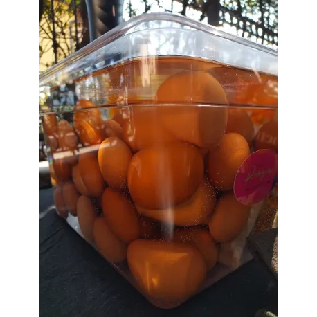 Corso di cucina a bassa temperatura a Bergamo - Sous Vide