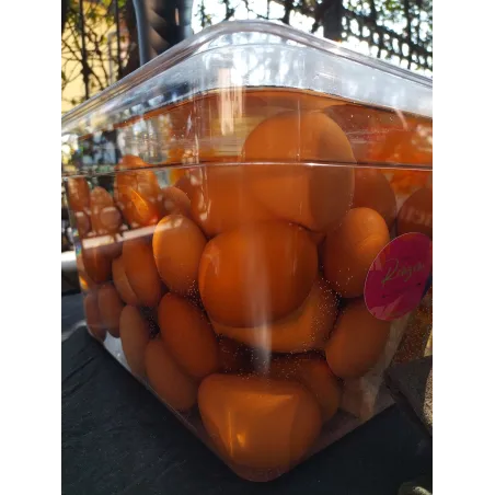 Corso di cucina a bassa temperatura a Bergamo - Sous Vide