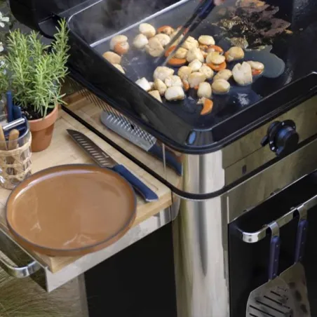 Carrello da esterno con plancha a Gas - Enosing - Plancha a Gas Cm.65, Nero e inox - Eno