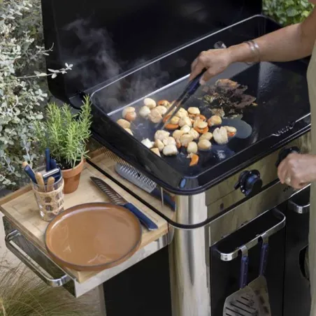 Carrello da esterno con plancha a Gas - Enosing - Plancha a Gas Cm.80, Nero e inox - Eno