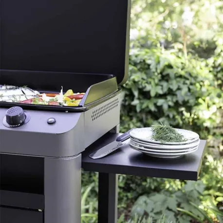 Carrello da esterno con plancha a Gas - Fusion - Plancha a Gas Cm.60, Grigio scuro - Eno