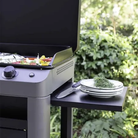 Carrello da esterno con plancha a Gas - Fusion - Plancha a Gas Cm.60, Grigio scuro - Eno