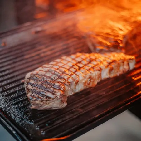 Grill & Roast, Piastra in ghisa per Home / Original - Vonken