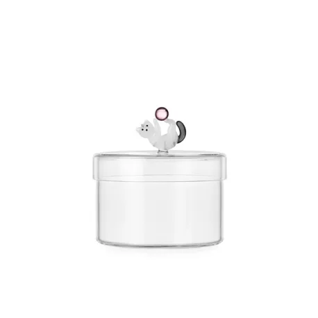 Tabby Cat, scatola gatto palla rosa - Ichendorf