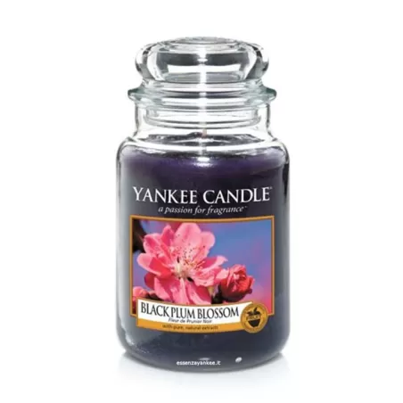 Black Plum Blossom Giara Grande - Yankee Candle