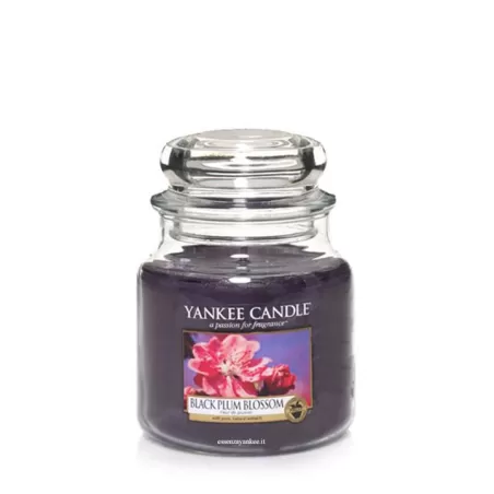 Black Plum Blossom Giara Media - Yankee Candle
