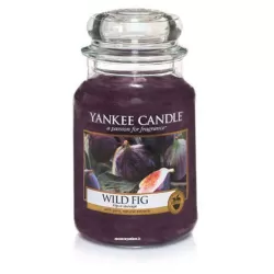 Wild Fig Giara Grande - Yankee Candle