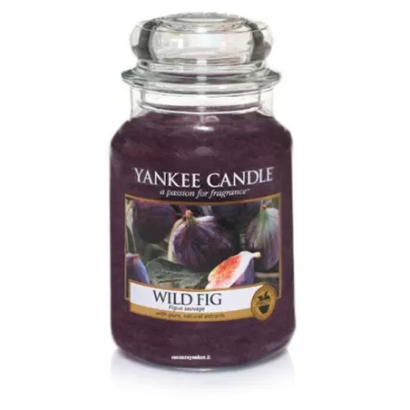 Wild Fig Giara Grande - Yankee Candle