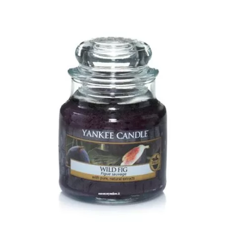 Wild Fig Giara Piccola - Yankee Candle