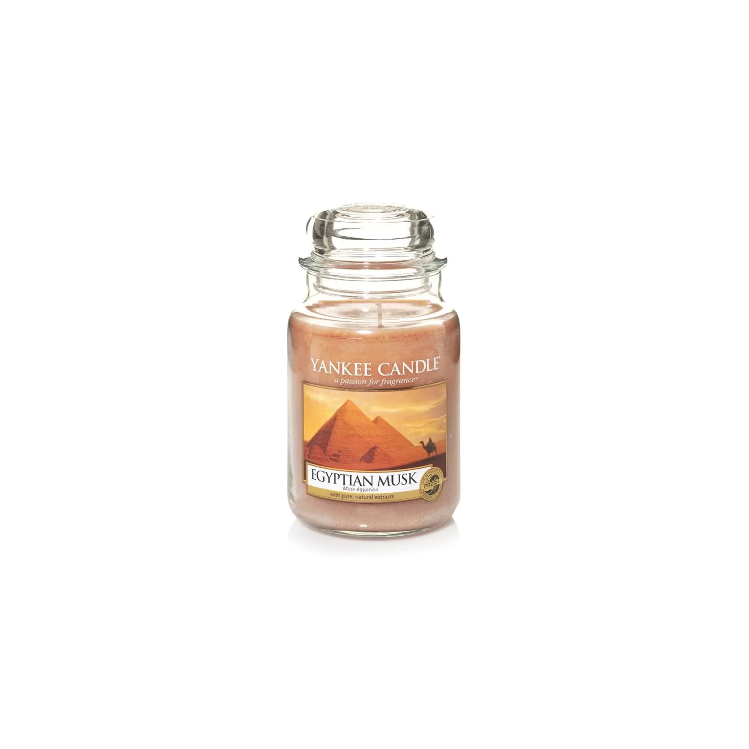 Yankee Candle Giara Grande Vaniglia 623g – Erboristeria AB Natura Online  Shop