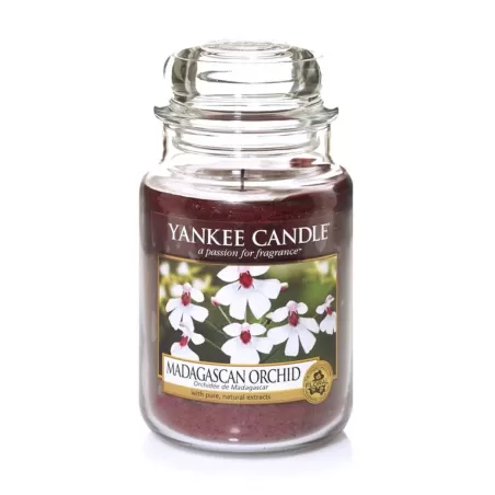Madagascan Orchid Giara Grande - Yankee Candle