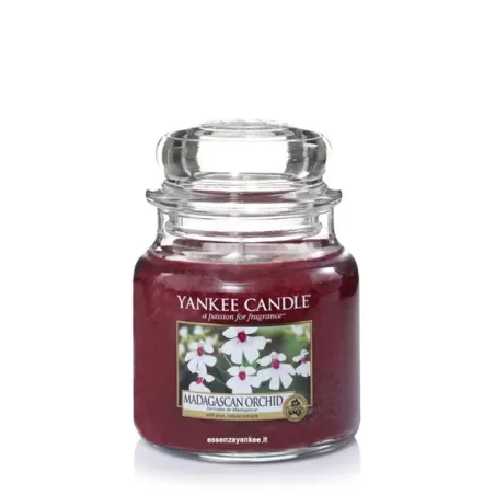 Madagascan Orchid Giara Media - Yankee Candle