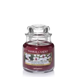 Madagascan Orchid Giara Piccola - Yankee Candle