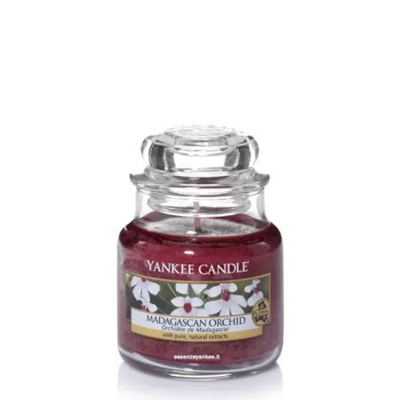 Madagascan Orchid Giara Piccola - Yankee Candle