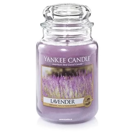 Lavender Giara Grande - Yankee Candle
