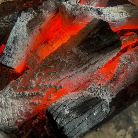 Carbone binchotan di White Lychee 5kg - Yakiniku