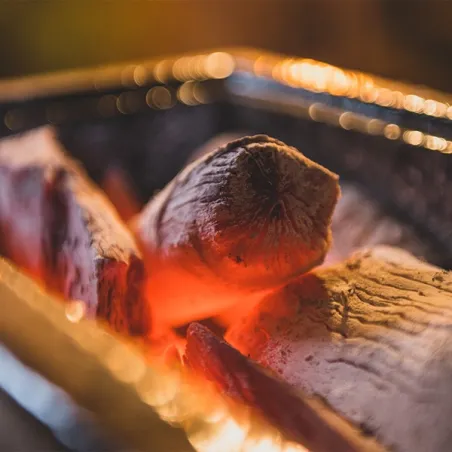 Carbone binchotan di Maitiew 5kg - Yakiniku