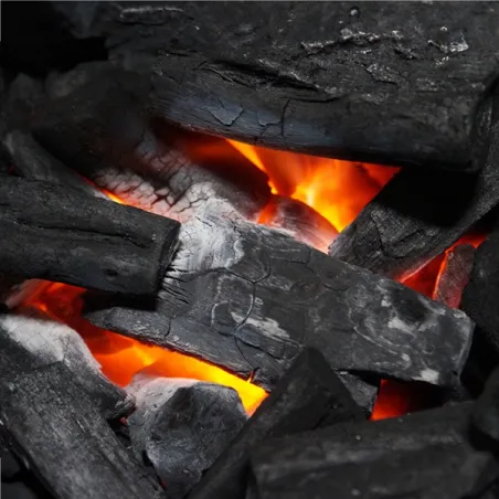 Carbone di Marabu 10kg - Yakiniku