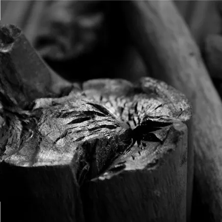 Carbone binchotan di White Eucalyptus 10kg - Yakiniku