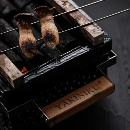 Spiedini Yakitori, confezione 10 pezzi Mm.1 - Yakiniku